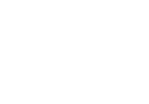 ortho one